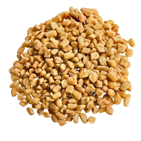 Fenugreek