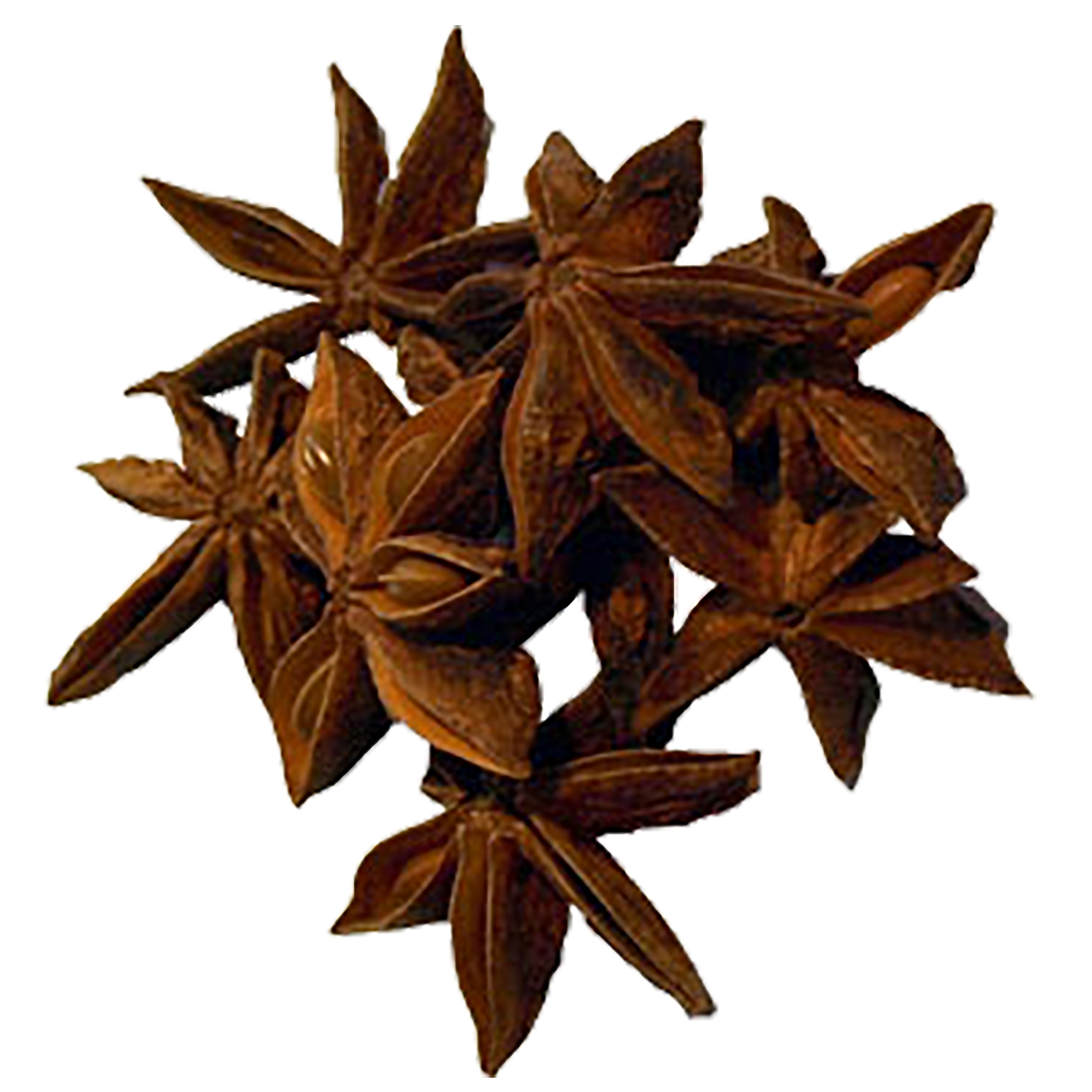Star Anise