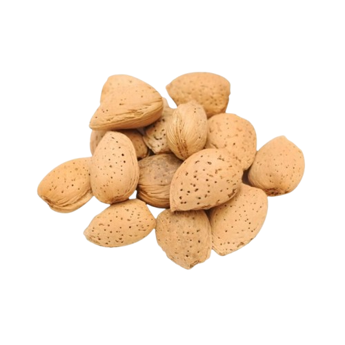Shelled Almonds