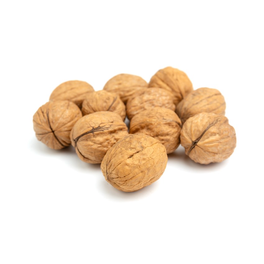 In-Shell Walnut