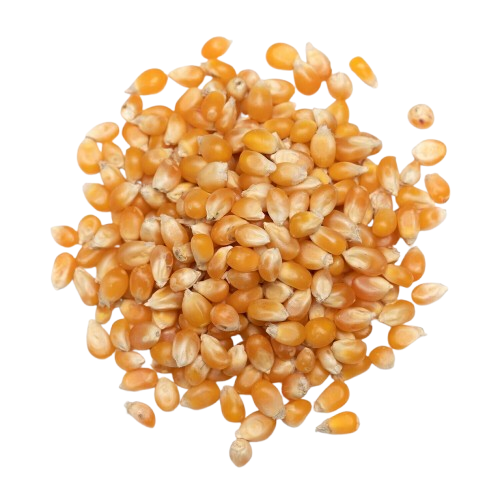 Kernels